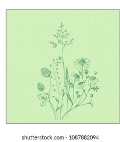 Vector herbal background with ink drawn plants and herbs on green with points. Hand drawn botanical illustration in sketch style for card, invitation, print, book illustration and other nature design.