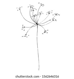 Vector Herbal branch plant botanical garden floral foliage. Black and white engraved ink art. Isolated herbal illustration element on white background.