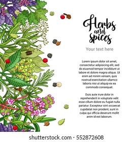 Vector herbal card design with spices and herbs. Decorative colorful background with type design. Seamless border with text template