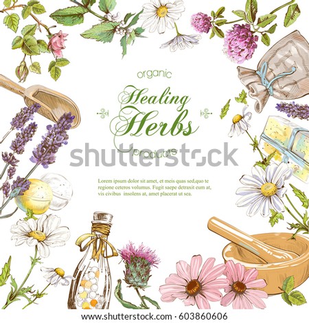 Vector herbal cosmetics frame on white background. With place for text