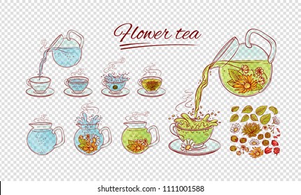 Vector herbal flowers tea constructor brew process  Make   pour in transparent cup hot aromatic drink and blossoming tea leaves  Sketch set collection hand drawn illustration 