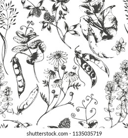 Vector herbal seamless pattern with aroma and medicinal plants and herbs. Botanical ink drawn illustration in sketch style for wrapping, paper, fabric and other natural design.