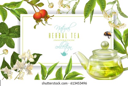 Vector herbal tea frame with tea pot ,linden, jasmine, rose hip and bee on white. Background design for packaging, tea shop, drink menu, homeopathy and health care products. With place for text.