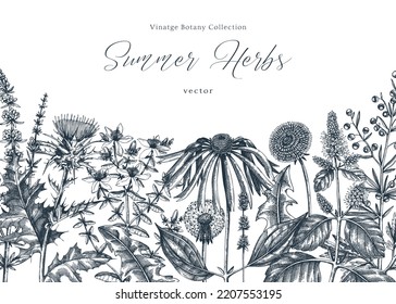 Vector herbs, flowers, weeds, meadows background. Aromatic plants vintage banner. Medicinal herb sketches. Botanical design for cosmetics, perfumery, packaging. Herbal tea ingredients in color