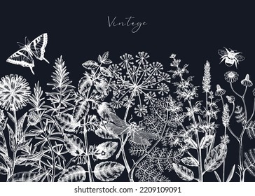Vector herbs, flowers, weeds, meadows background. Aromatic plants vintage banner. Medicinal herb sketches. Botanical design for cosmetics, perfumery, packaging. Herbal tea ingredients on chalkboard