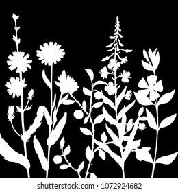vector herbs silhouettes, floral background, hand drawn botanical illustration