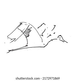 Pájaro Vector Heron, Ilustración Mano.