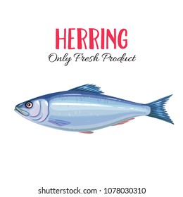 Vector herring. Icon badge fish for design seafood packaging and market.