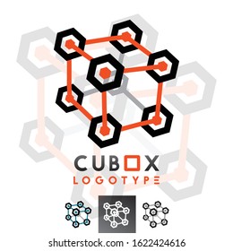 Vector Hexagon Cube, Box Connected with lines and dots, Logo. Professional Business Branding, Corporate Icon, Graphics.