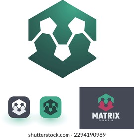 Vector Hexagon Line Matrix Logo.