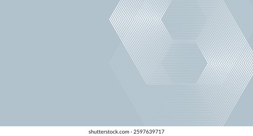 Vector hexagon lines on gray background. Geometric lines abstract
