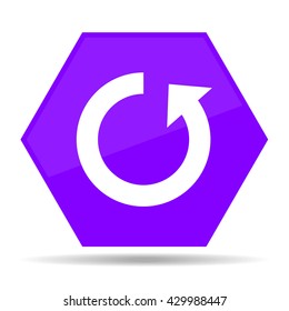 vector hexagonal icon purple color with the sign rebooting