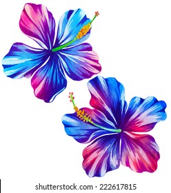 vector hibiscus. exotic flowers.