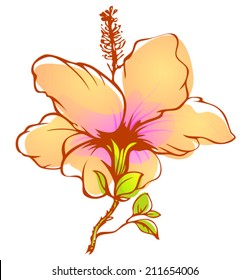 vector hibiscus flower