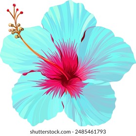 Vector hibiscus flower. Bright tropical flower. Paradise, Hawaii, exotic