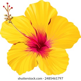 Vector hibiscus flower. Bright tropical flower. Paradise, Hawaii, exotic