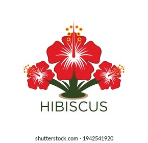 Vector of hibiscus flower design eps format, suitable for your design needs, logo, illustration, animation, etc.