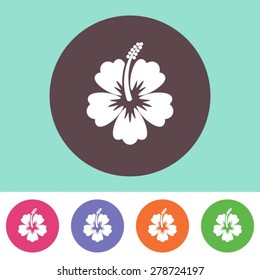 Vector hibiscus flower icon on round colorful buttons