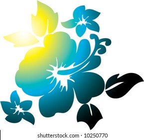vector hibiscus flower illustration