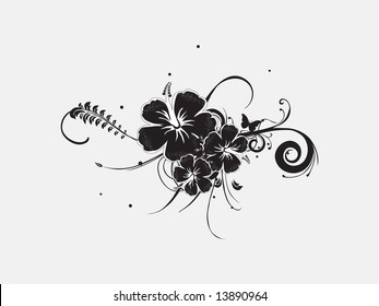 vector hibiscus flower illustration