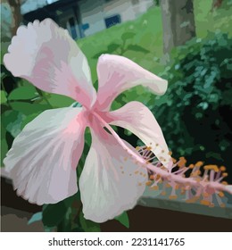 vector hibiscus flower illustration template