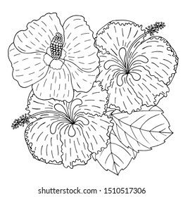 Vector Hibiscus flower line art on white. Hibiscus flower isolated.