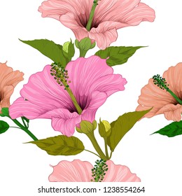 Vector. Hibiscus - flowers and buds. Seamless background pattern. Perfume and cosmetic plants. Wallpaper. Decorative composition. Use printed materials, signs, posters, postcards, packaging.