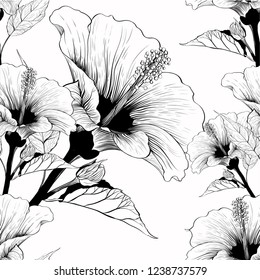 Vector. Hibiscus - flowers and buds. Seamless background pattern. Perfume and cosmetic plants. Wallpaper. Decorative composition. Use printed materials, signs, posters, postcards, packaging.
