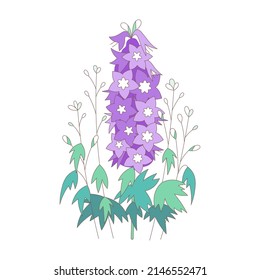 VektorHibiskus-Blumen. Vektorwiese hinterlegte Hibiskuszeichnung. Sommerblumenblüte mit violetten Blüten, Blüten und grünen Blättern. Farbige provenzalische Gartengrafik.