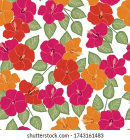 Vector Hibiscus Flores en naranja rosado rojo con hojas verdes en fondo blanco patrón de repetición sin problemas. Antecedentes para textiles, tarjetas, manufactura, papel pintado, envoltura de regalo y reserva de chatarra.