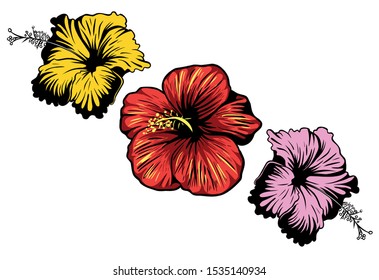 269,947 Tropical Hibiscus Flower Images, Stock Photos & Vectors ...