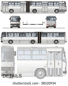 Vector hi-detailed urban bus