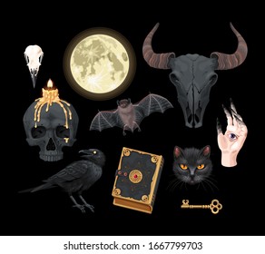 Vector high detailed black magic supplies set