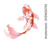 Vector high detailed white and red koi fish.