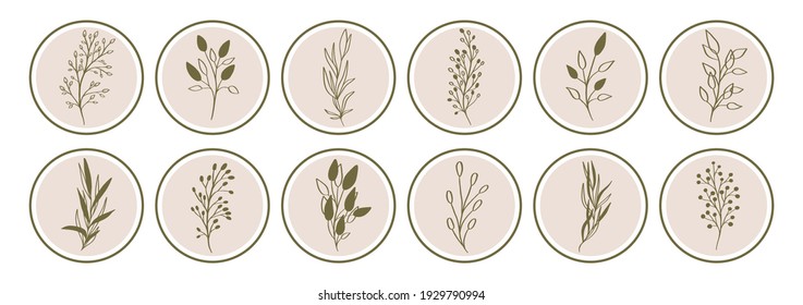 Vector Highlight Story Cover Icons For Instagram, Social Media. Abstract Minimal Circle Backgrounds With Nature Leaves.