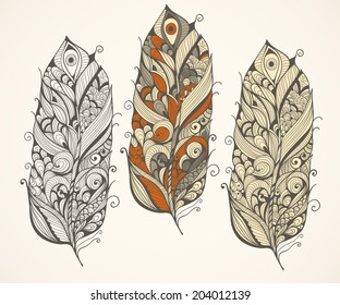 Vector highly detailed doodle  feathers