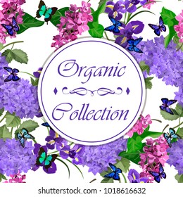 Vector highly detailed illustration of hydrangea and syringa flowers. Can be used as wedding element, design for cosmetics, perfume, beauty care products