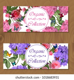 Vector highly detailed illustration of hydrangea and rose flowers. Can be used as wedding element, design for cosmetics, perfume, beauty care products