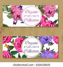 Vector highly detailed illustration of hydrangea and rose flowers. Can be used as wedding element, design for cosmetics, perfume, beauty care products
