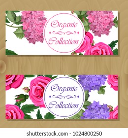 Vector highly detailed illustration of hydrangea and rose flowers. Can be used as wedding element, design for cosmetics, perfume, beauty care products