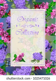 Vector highly detailed illustration of hydrangea and syringa flowers. Can be used as wedding element, design for cosmetics, perfume, beauty care products