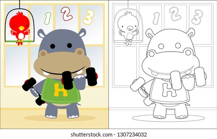 Vector of hippo cartoon lifting barbell with little bird, coloring book or page
