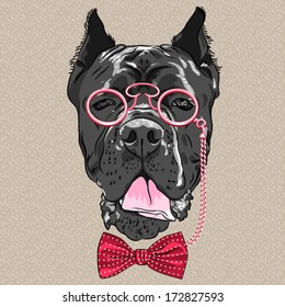 Vector hipster dog Cane Corso breed in a glasses and bow tie