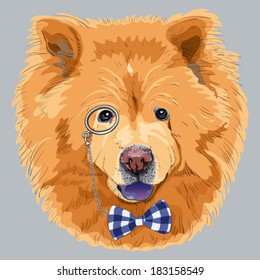 Vector hipster dog chow-chow breed in a blue glasses and bow tie