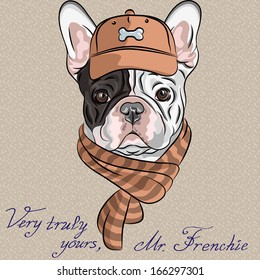 Vector hipster dog French Bulldog breed in a brown cap and scarf