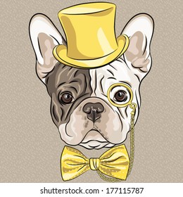 Vector hipster dog French Bulldog breed in a gold hat, glasses and bow tie