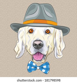 Vector hipster dog Golden Retriever breed in a gray hat and tartan bow tie