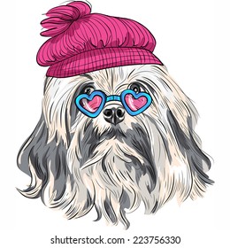 vector hipster dog Lion Bichon (Lowchen) breed in a red hat and heart glasses 