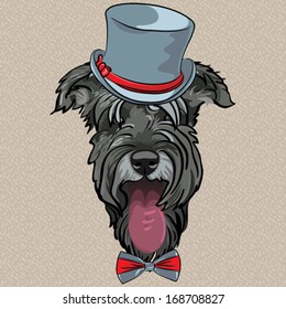vector hipster dog Schnauzer breed in a gray hat and bow tie