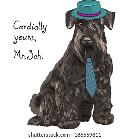 Vector hipster dog Schnauzer breed in a blue hat and tie